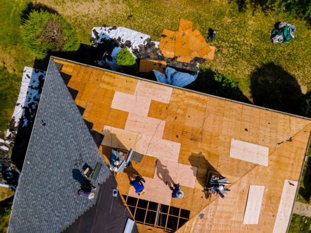 Best Roof Repair Services  in Parkersburg, IA