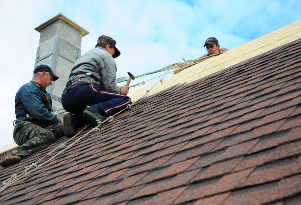 Best Roof Waterproofing Services  in Parkersburg, IA